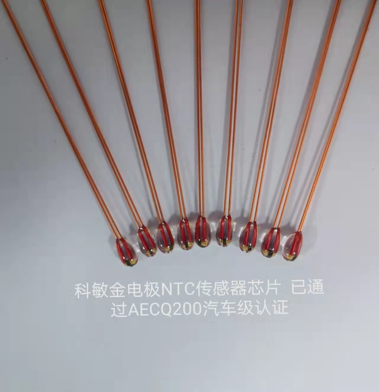 MF51金电极NTC 02.jpg